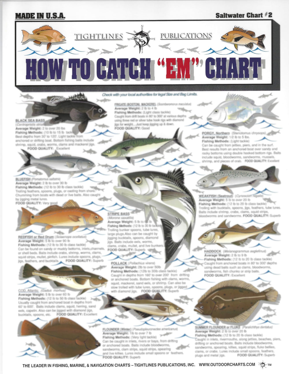 Cover image for How to Catch Em Saltwater Fish Identification #2