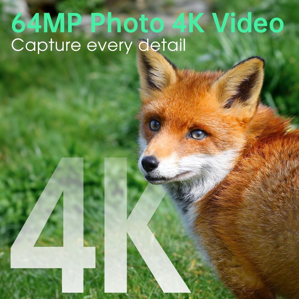 Hrivcam Trail Camera 64MP stills capture sharp wildlife detail