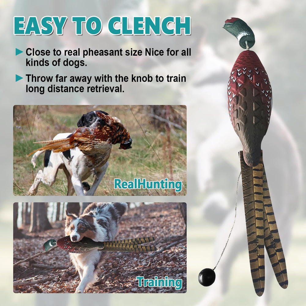 HSOKEW EVA foam dummy offers durability and lightweight handling for training sessions.