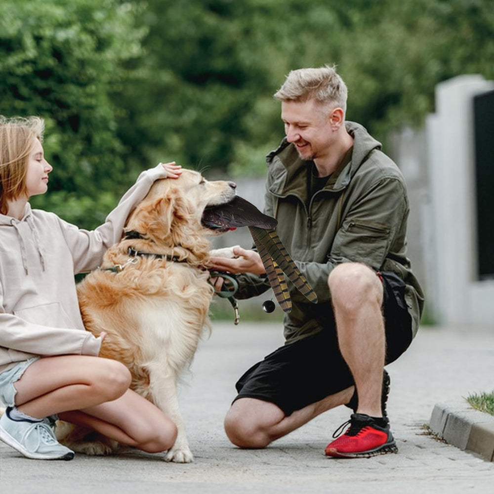 HSOKEW multi-color visibility helps spot the dummy in varied training environments.