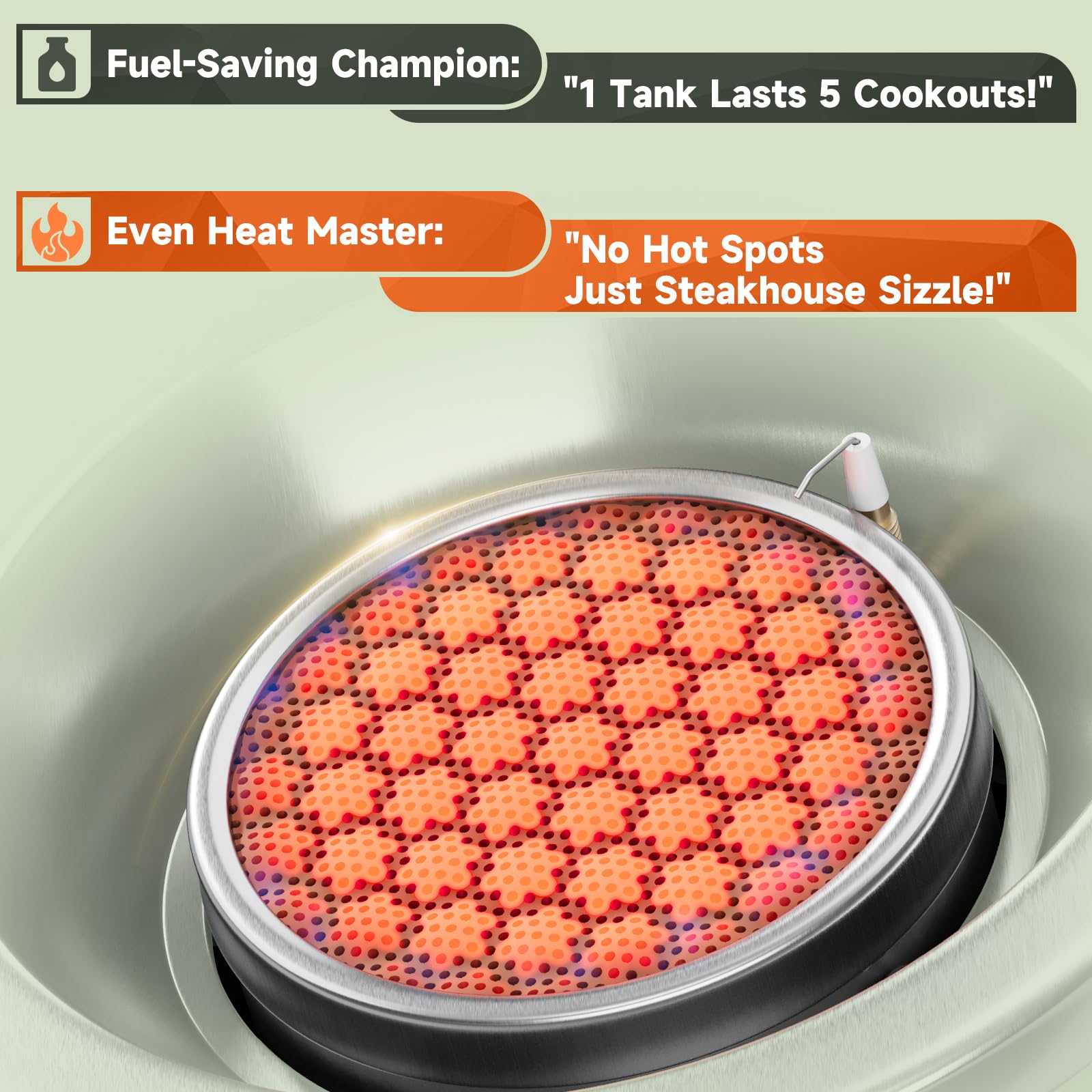 HUGEFLAMES stove offers multi-fuel compatibility for flexible fuel choices