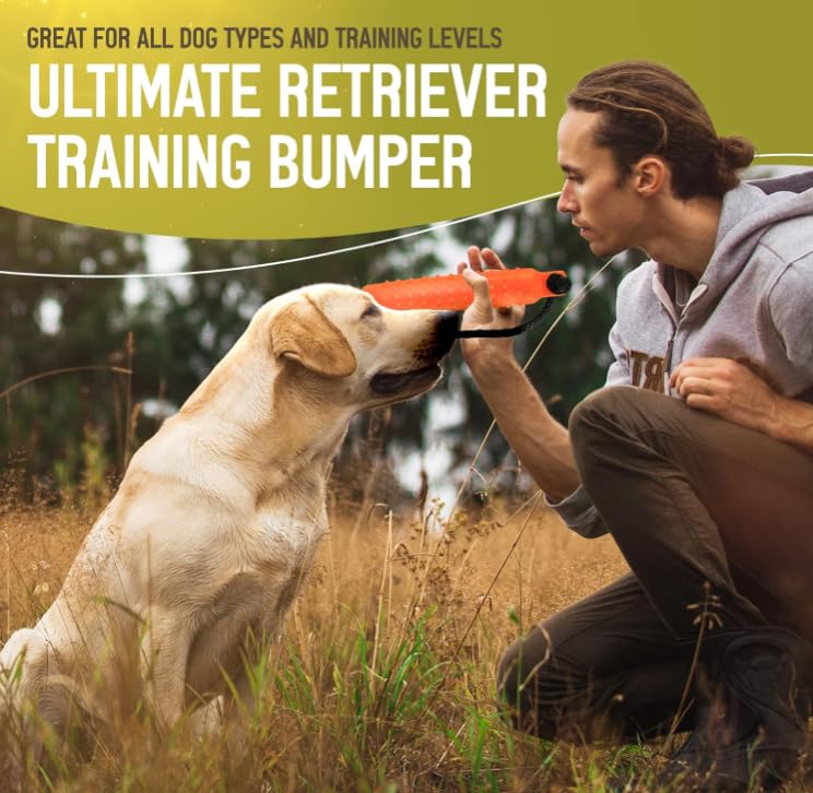 HuntEmUp orange bumper aids blind retrieves in open fields.