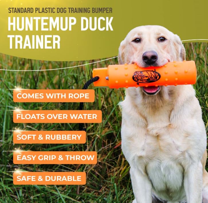 HuntEmUp white bumper improves visibility in varied training environments.