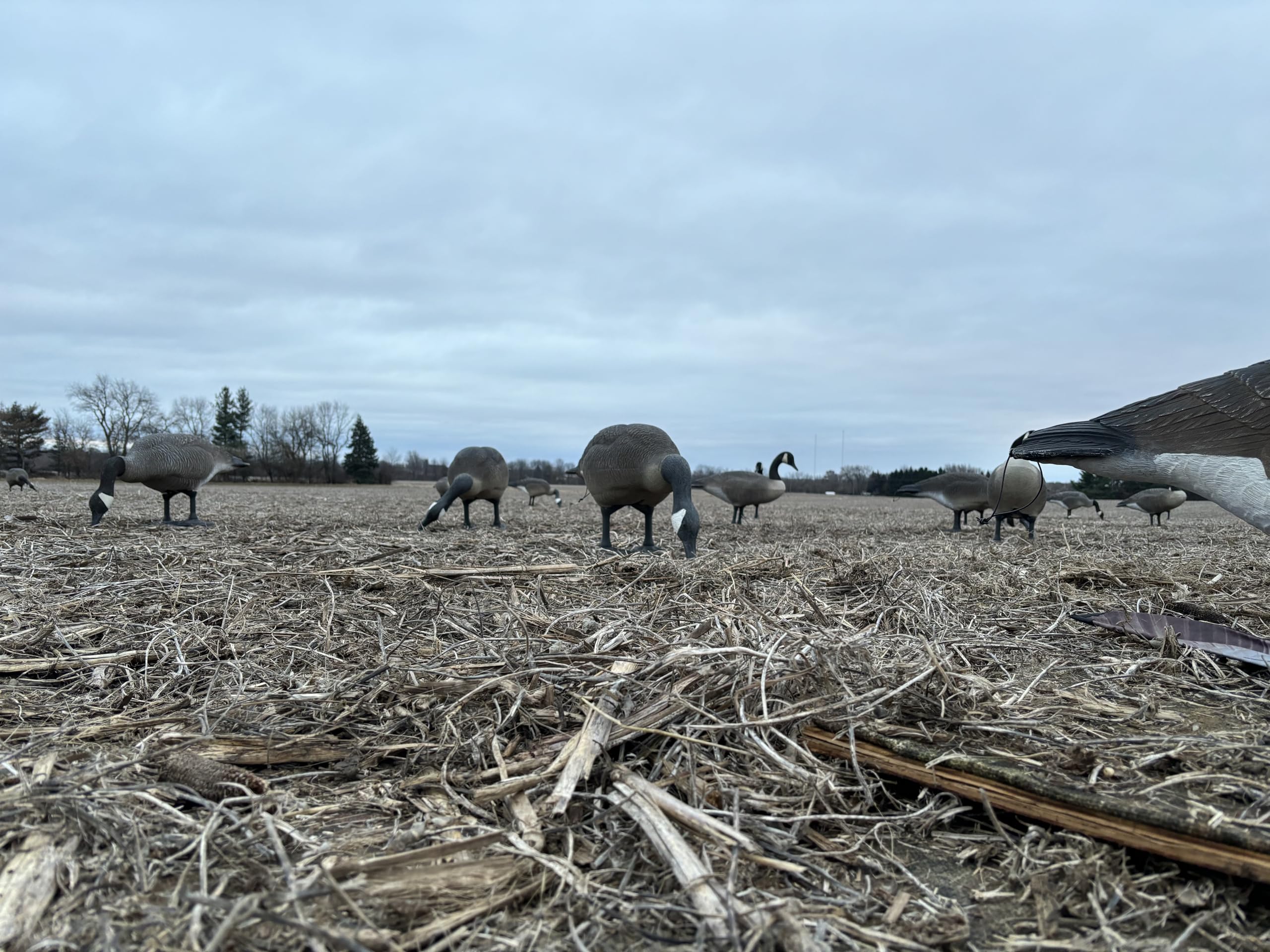 HuntEmUp Goose Flapper Decoy Flag collapsible wing enables quick field setup