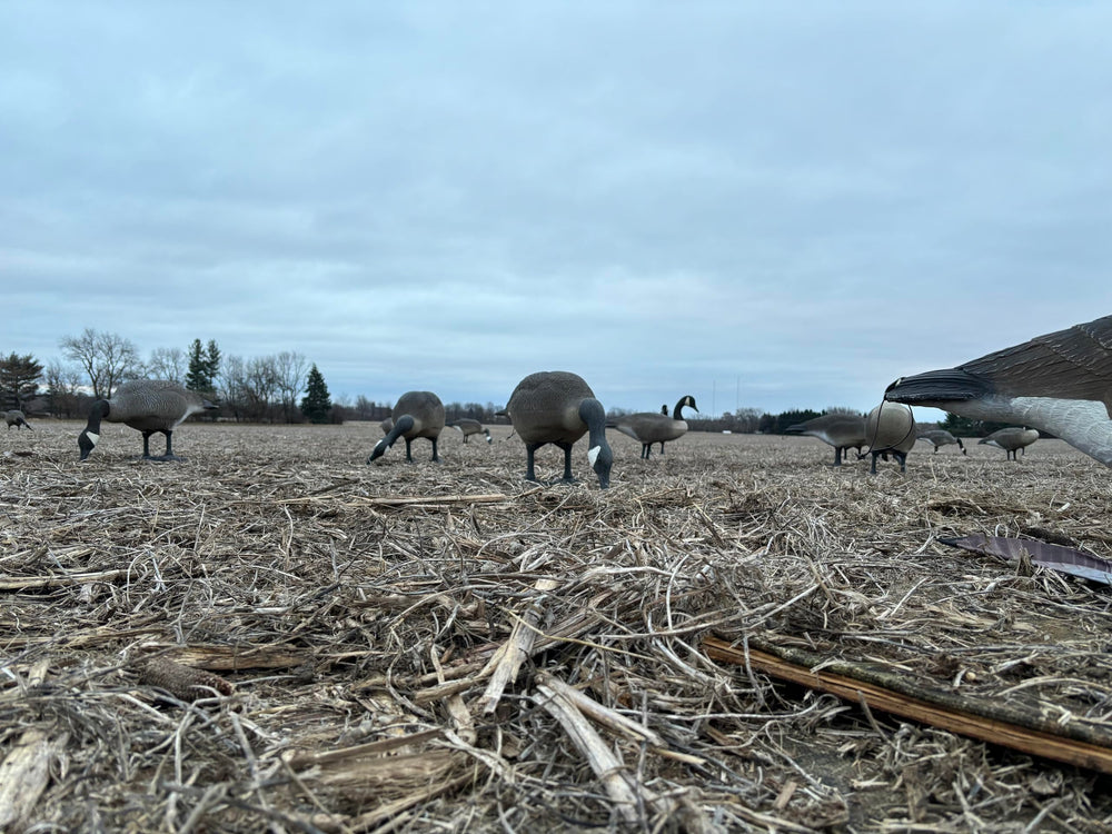 HuntEmUp Goose Flapper Decoy Flag collapsible wing enables quick field setup