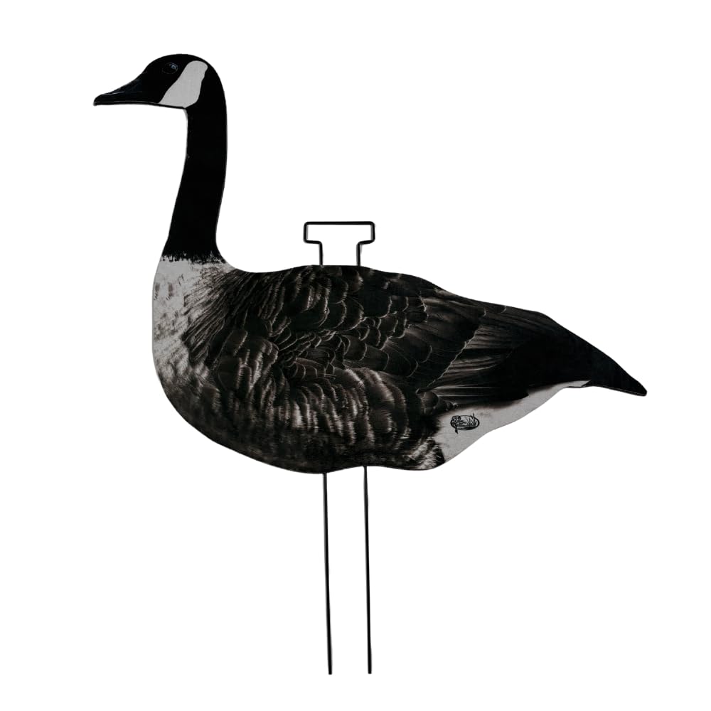 HuntEmUp feeder-pose silhouette adds natural movement cues for migratory goose draws.
