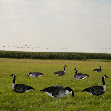 HuntEmUp stakes-set shows sturdy, fast-placement hardware for reliable field setup.