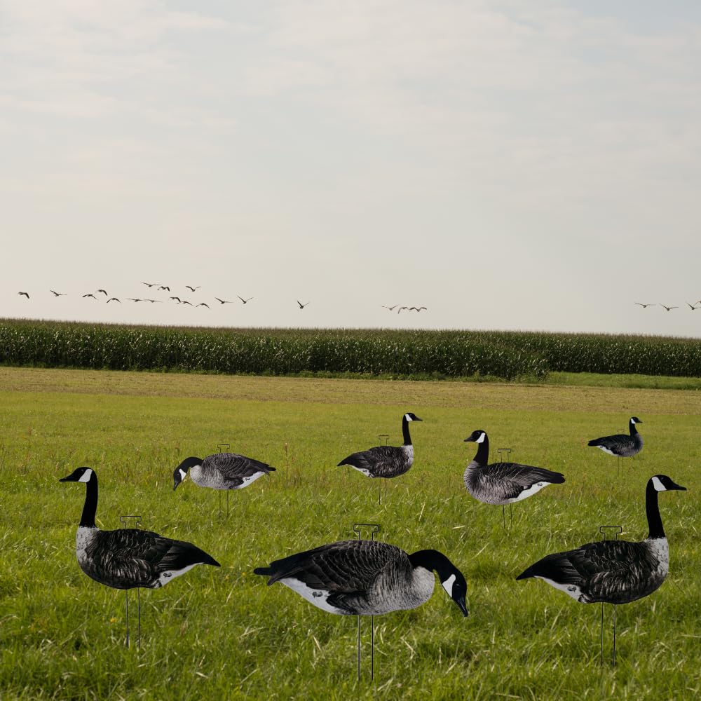 HuntEmUp stakes-set shows sturdy, fast-placement hardware for reliable field setup.