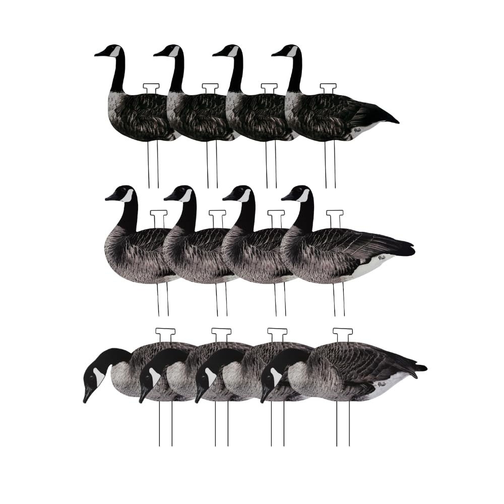 HuntEmUp upright pose decoy silhouette boosts realism for convincing goose spreads in daylight.