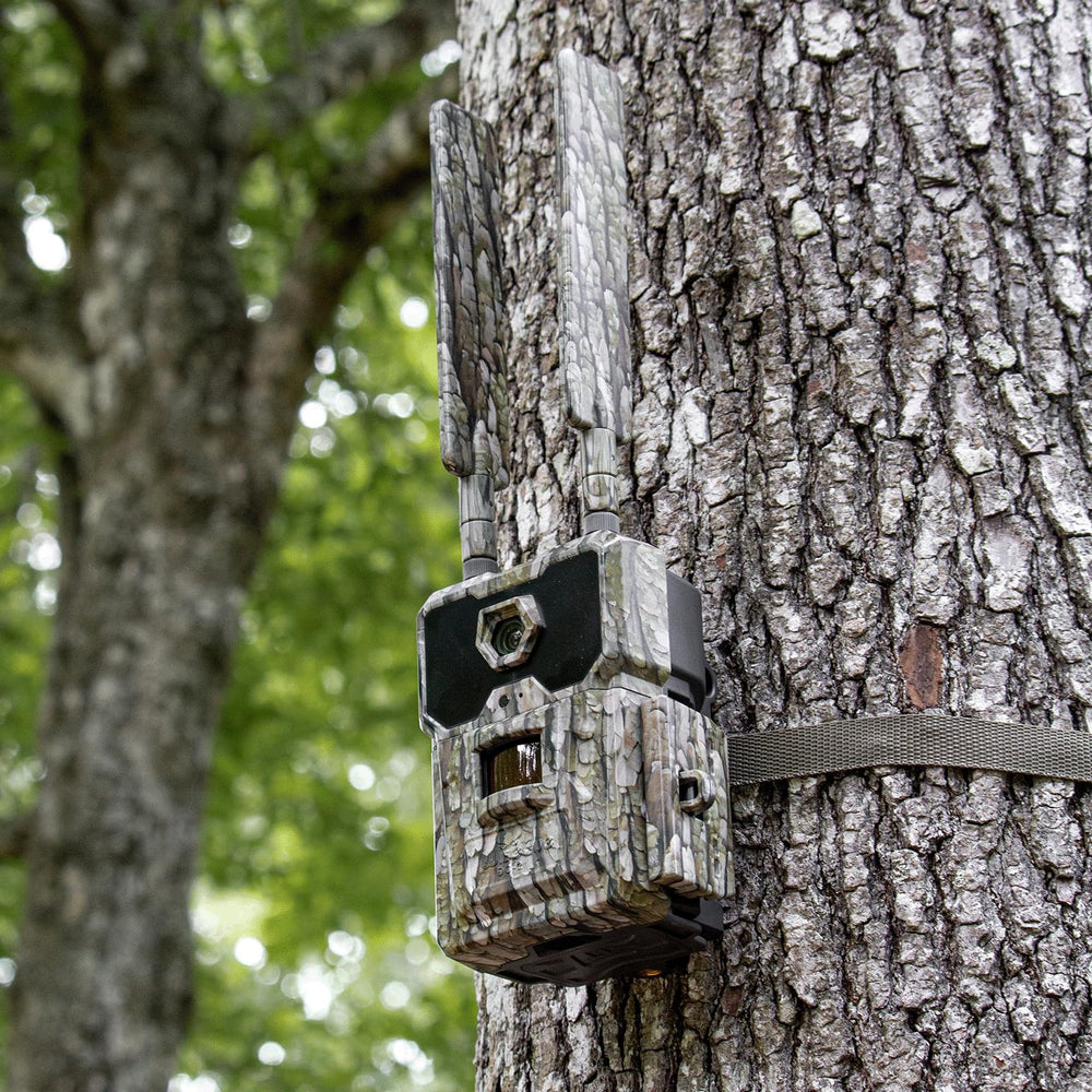 WiseEye DC2 motion detection captures critical moments automatically.