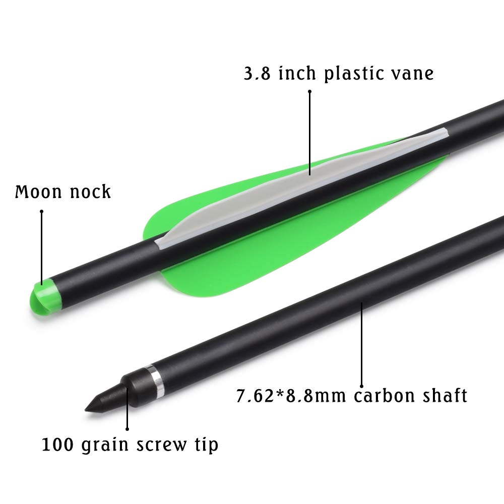Hunter Ian Archery 100 grain screw point ensures reliable penetration and easy field repairs.