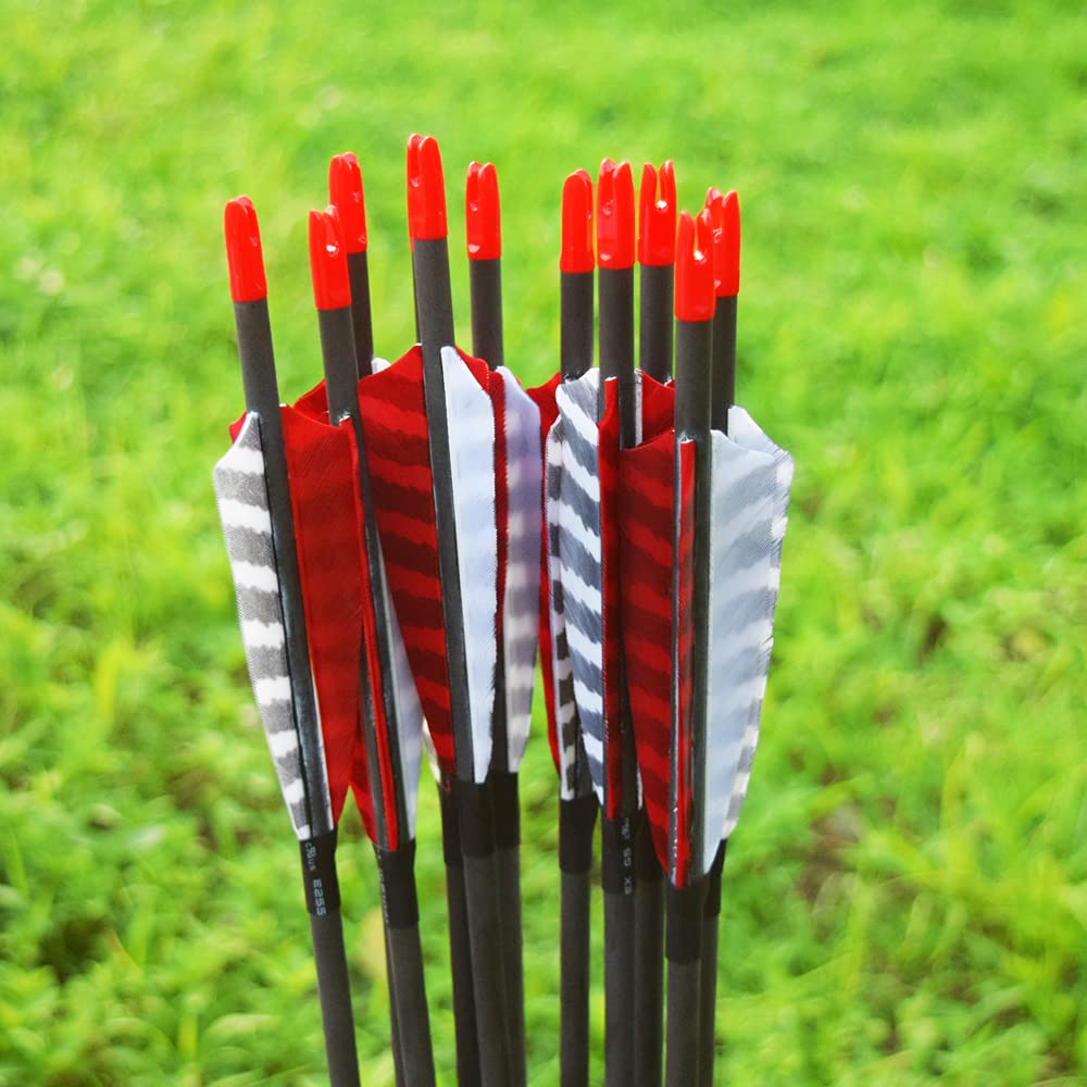 Hunter Ian Archery pack of 12 arrows fits traditional and modern bows.