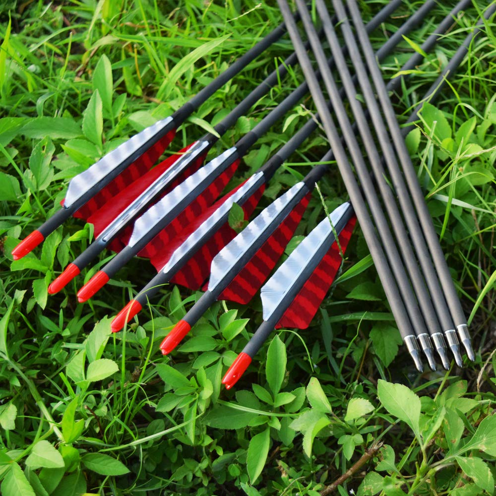 Hunter Ian Archery pack of 12 arrows ready for field use.