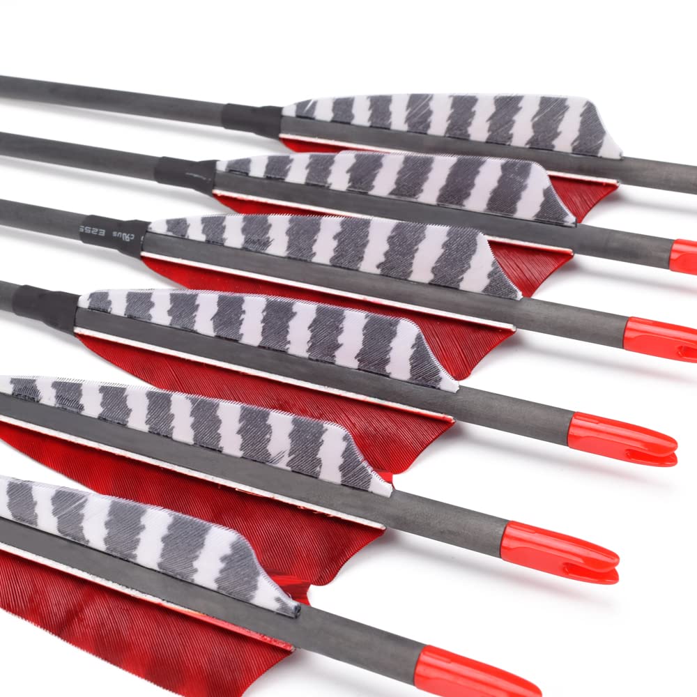 Hunter Ian Archery carbon arrows with 600 spine deliver consistent flight