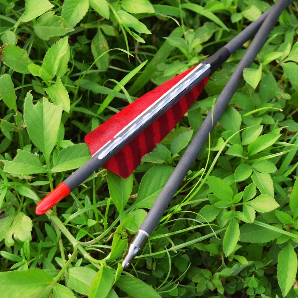 Hunter Ian Archery pack of 6 carbon arrows ready for practice or hunting