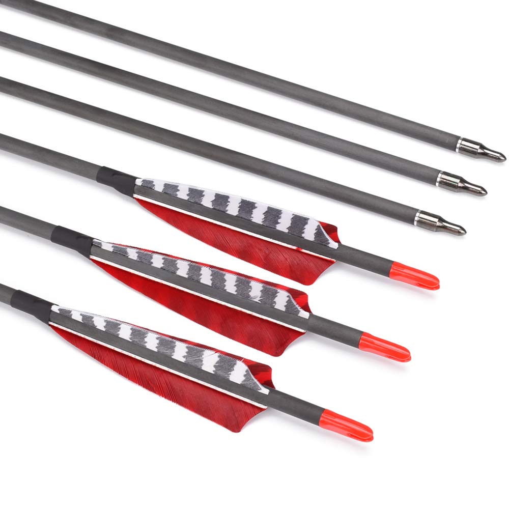 Hunter Ian Archery screw-in field points 100-grain with aluminum insert for reliability.