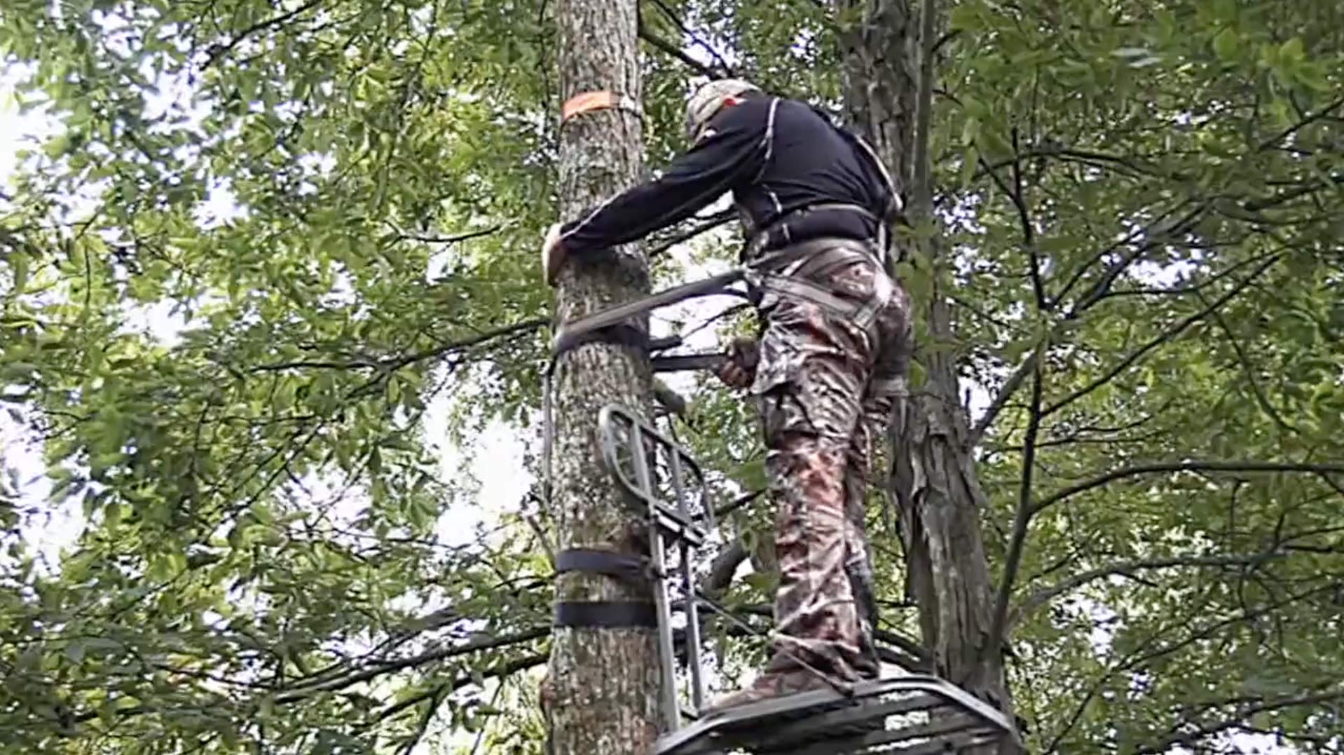 Hunter Safety System LCS 8.5-foot strap suits diverse climbing setups.
