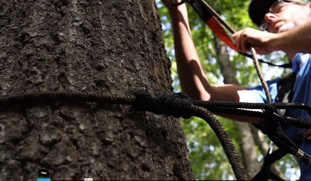 Hunter Safety System lineman rope stretched to 8.5 ft to fit most trees.