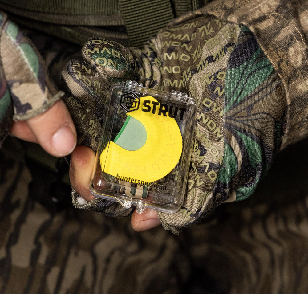 Laser-marked diaphragms on Strut call for quick diaphragm identification