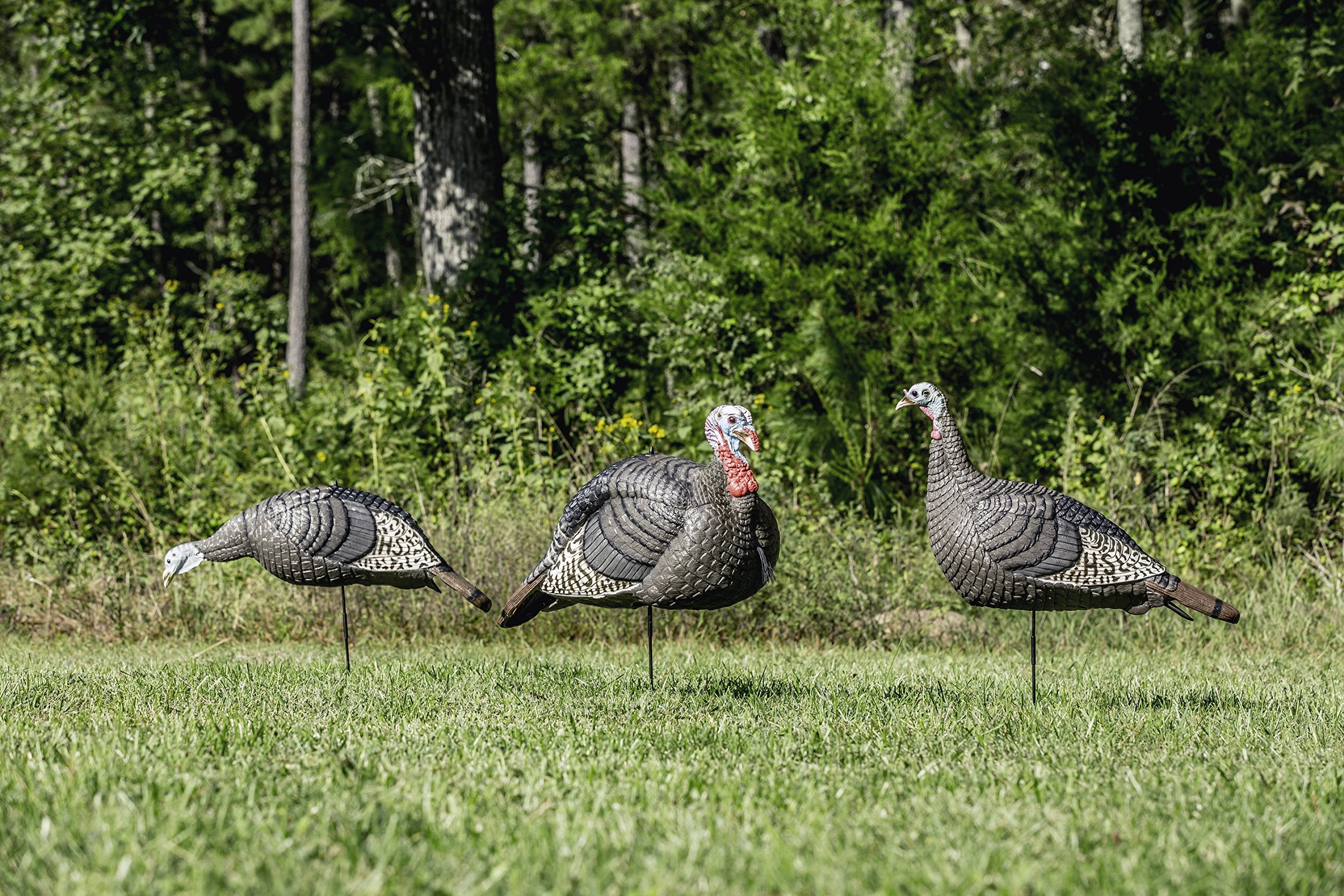 Hunters Specialties Strut-Lite Feeding Hen decoy indicates secure area and supports ambush setups.