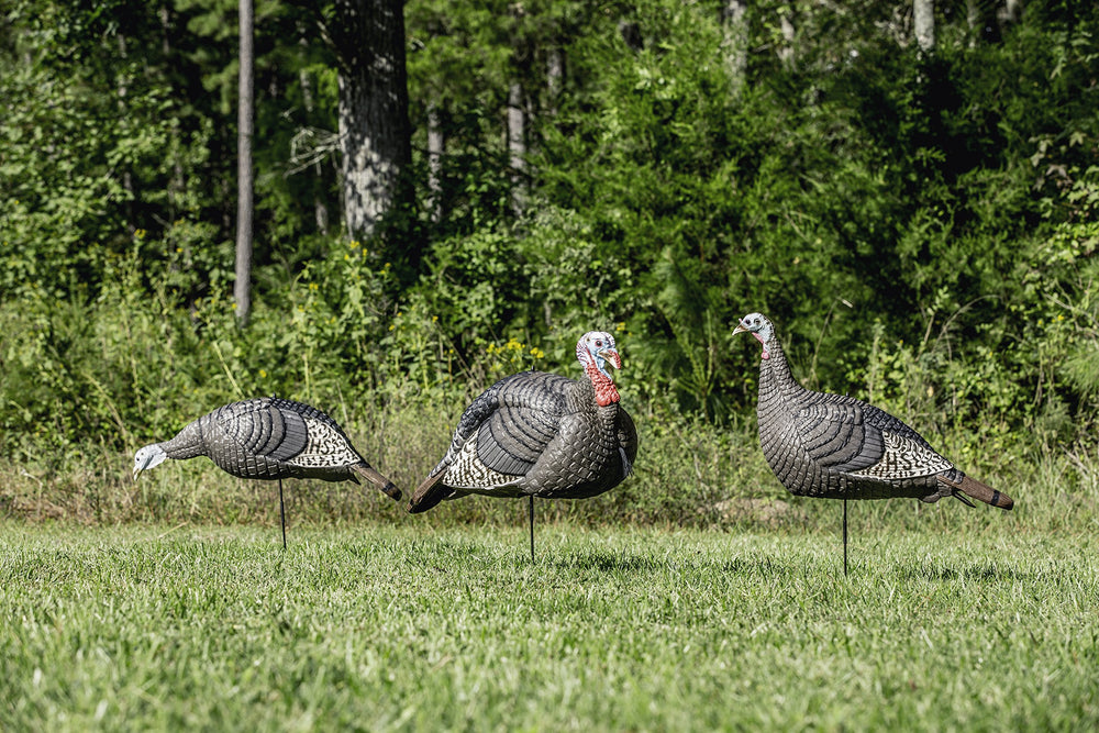Hunters Specialties Strut-Lite Feeding Hen decoy indicates secure area and supports ambush setups.