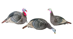 Hunters Specialties Strut-Lite Jake decoy attracts dominant toms with aggressive pose.
