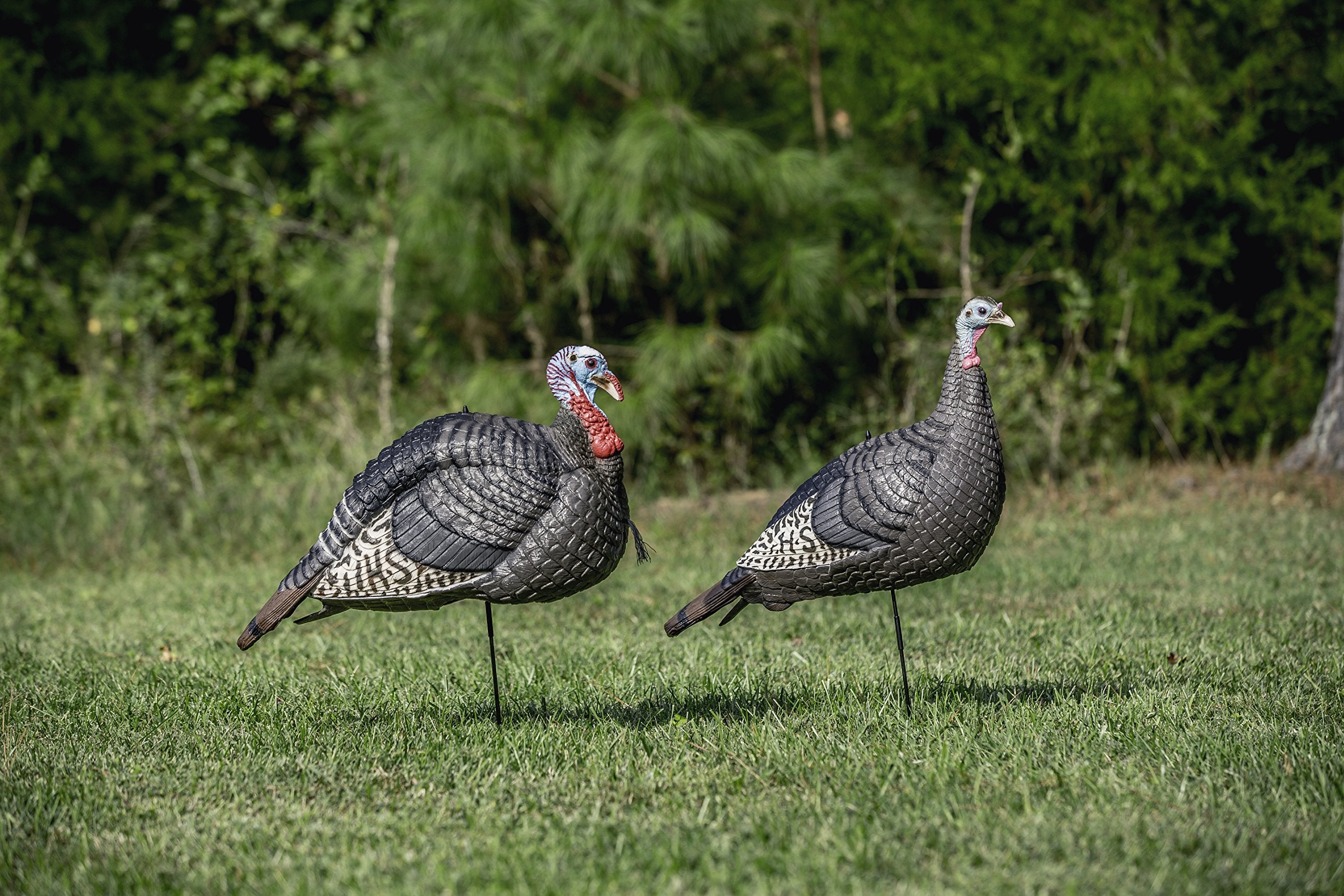 Hunters Specialties Strut-Lite Jake & Feeding Hen setup shows quick, portable use with two-piece ground stakes.