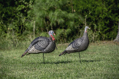 Hunters Specialties Strut-Lite Jake & Feeding Hen setup shows quick, portable use with two-piece ground stakes.