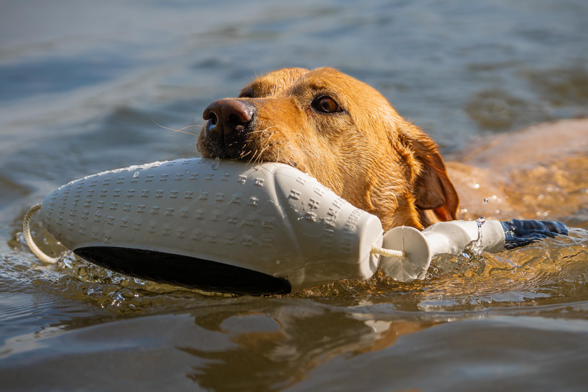 HUNTMARK practice bumper ideal for controlled, progressive hunting dog training