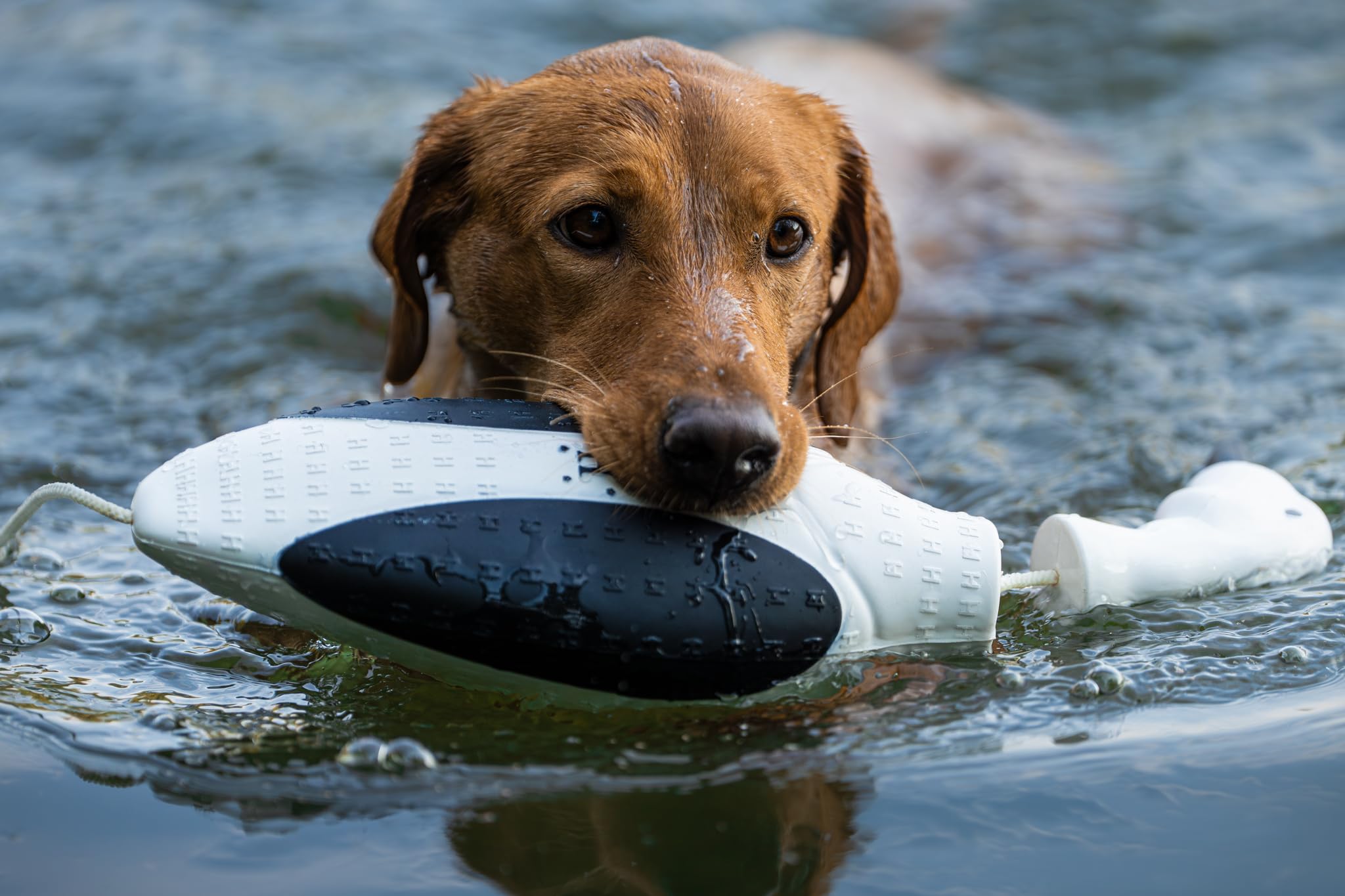 HUNTMARK ergonomic grip improves handling during training retrieves