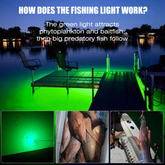 IP68 waterproof submersible fishing light in action underwater
