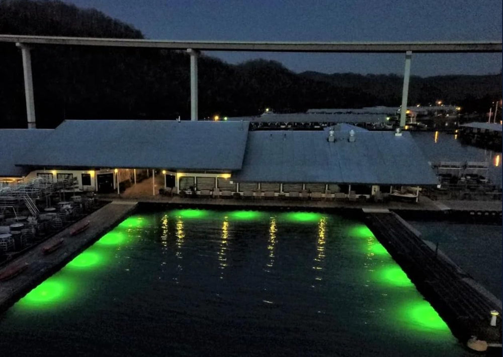 Hydro Glow DM260 waterfront light helps spot gear along the water edge.