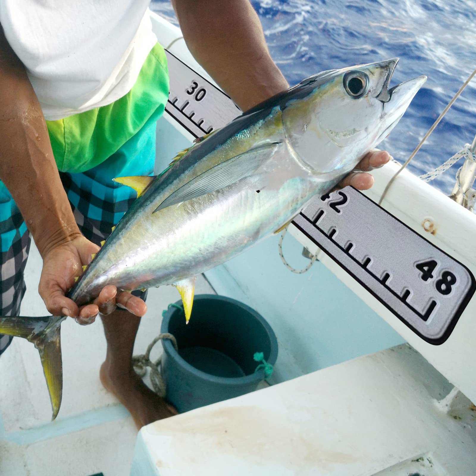 Hzkaicun fish ruler non-slip surface during wet measurements on deck.