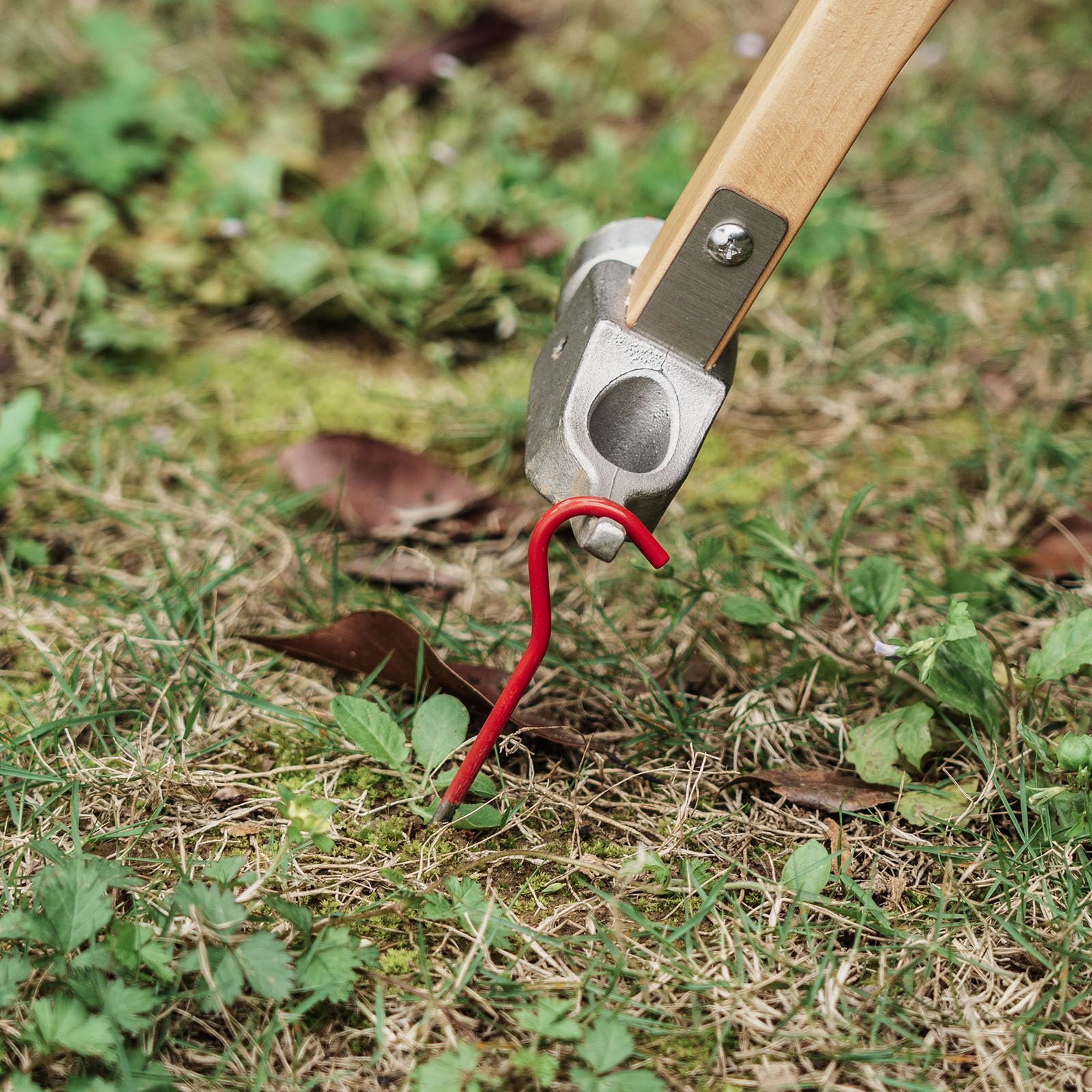 iBasingo compact travel tent stake for easy packing