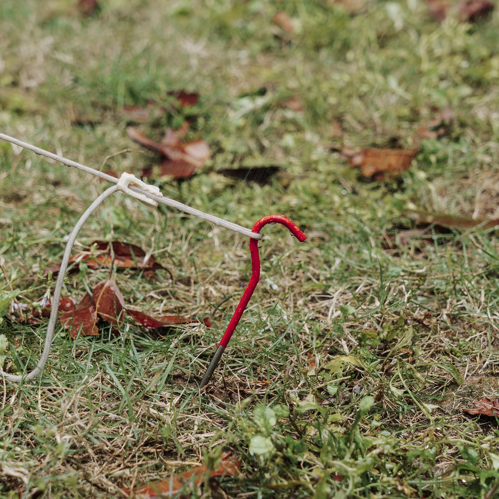 iBasingo hard-ground friendly peg designed for tough soil
