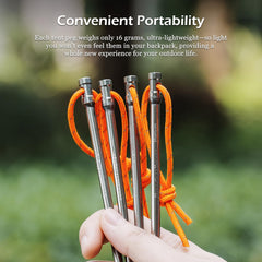iBasingo titanium peg penetrating firm soil with ease for quick setup.