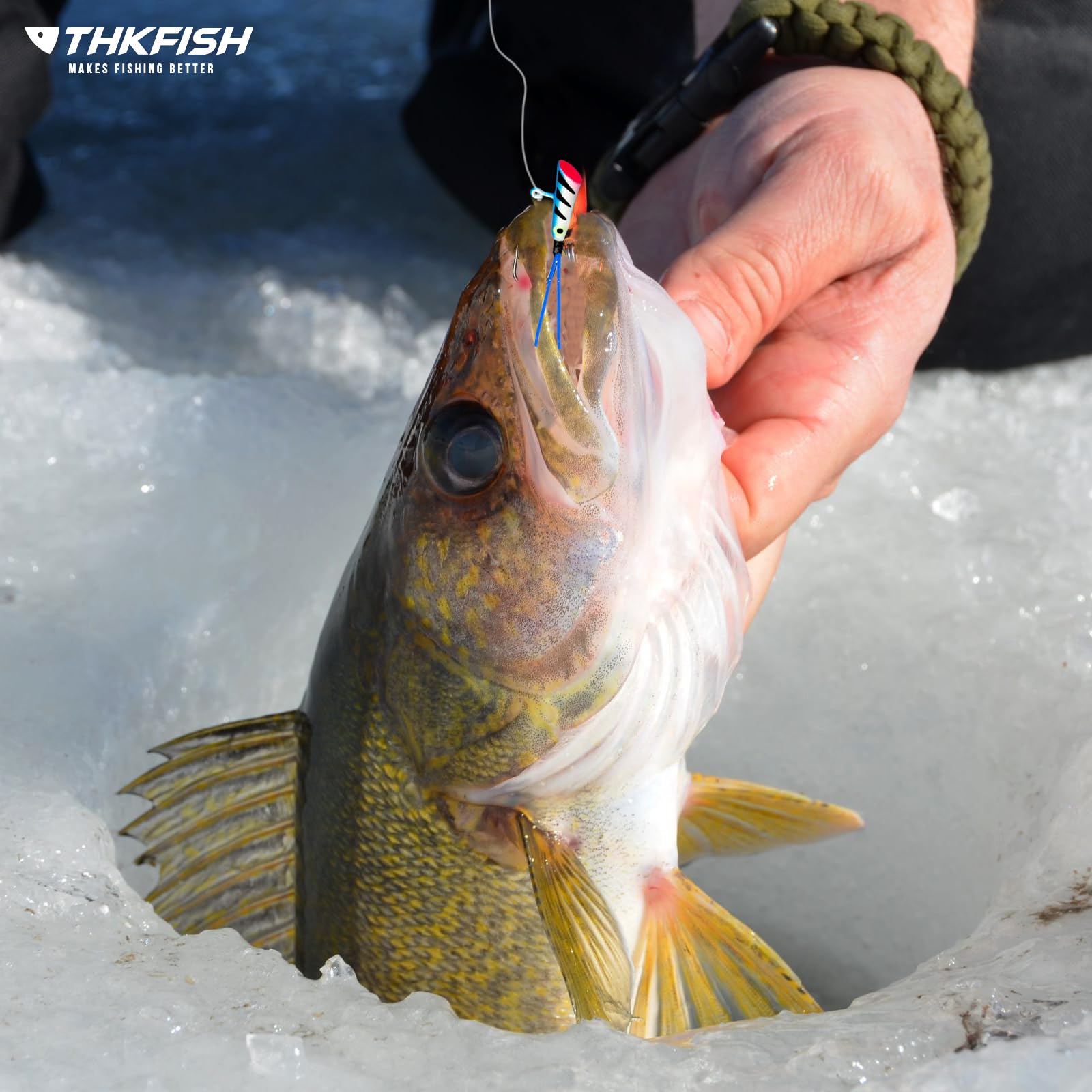 Close-up of ice fishing jig head with colored skirt