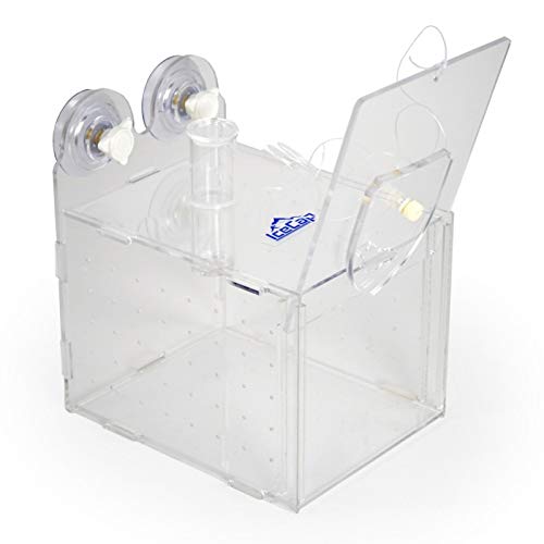 IceCap Fish Trap 250 Large during assembly for quick setup in tight spaces