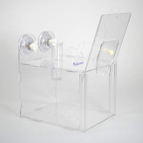 IceCap Fish Trap 250 Large with clear construction for easy interior visibility
