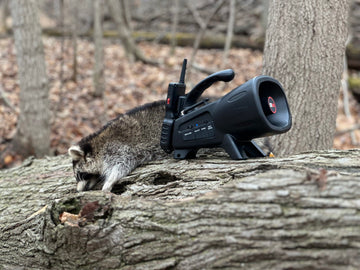 Icotec Night Stalker category organization: easy file navigation during hunts.