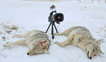 Icotec Night Stalker SD card storage: stores thousands of sounds for flexibility.