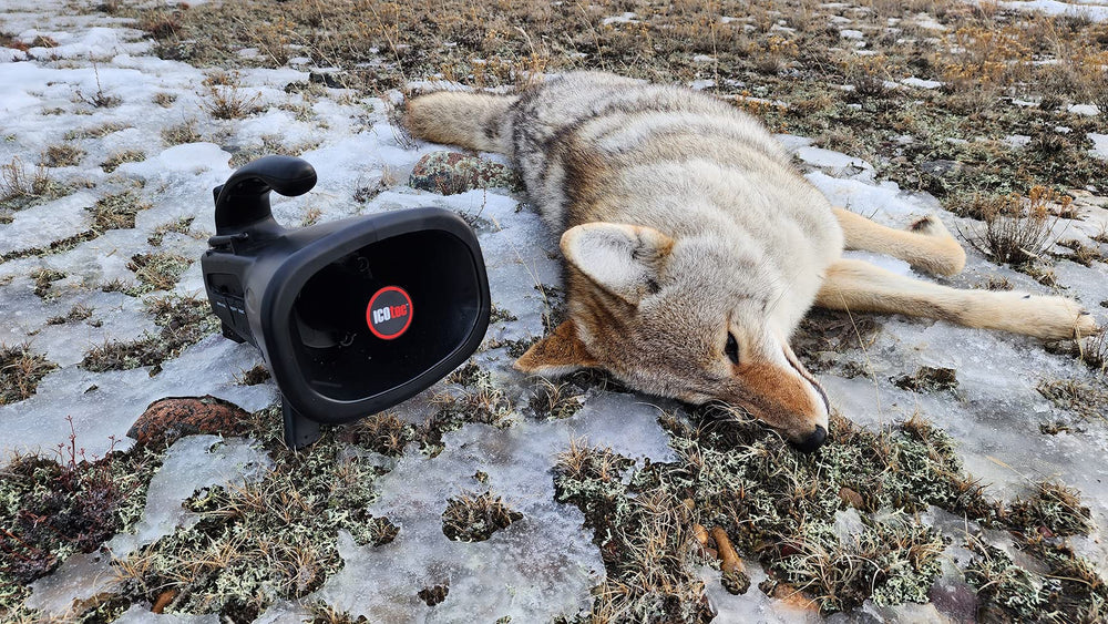 Icotec Night Stalker two-sound play: realistic hunting sequences.