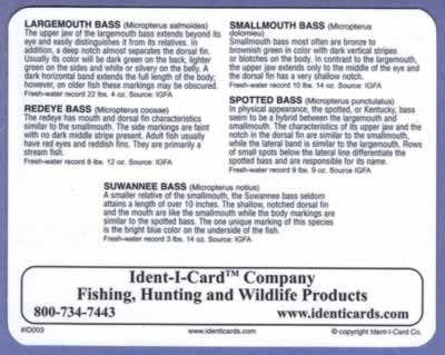 Ident-I-Cards Bass Family back view with scientific names and freshwater records.