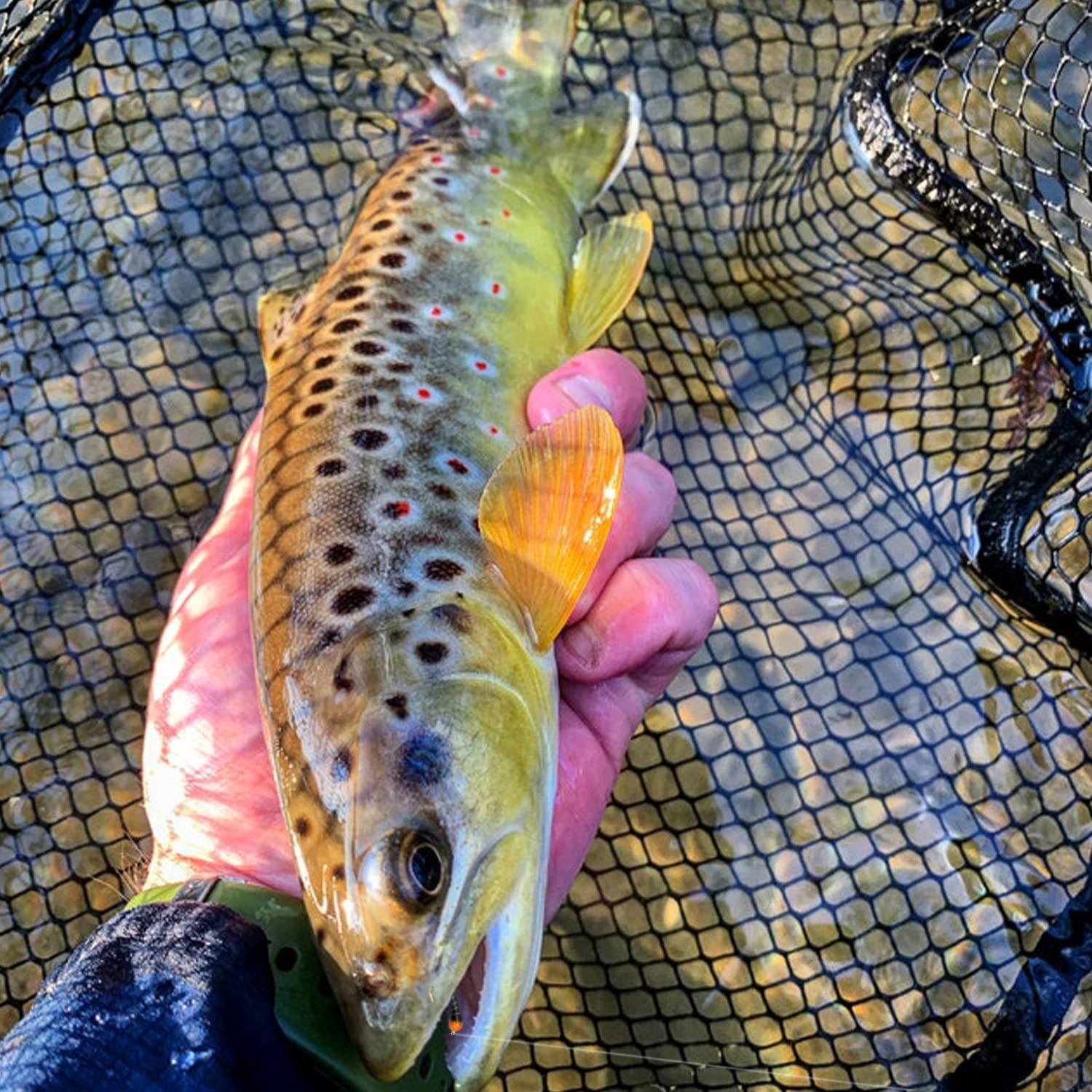 Compact IEVEI fly box included for organized transport