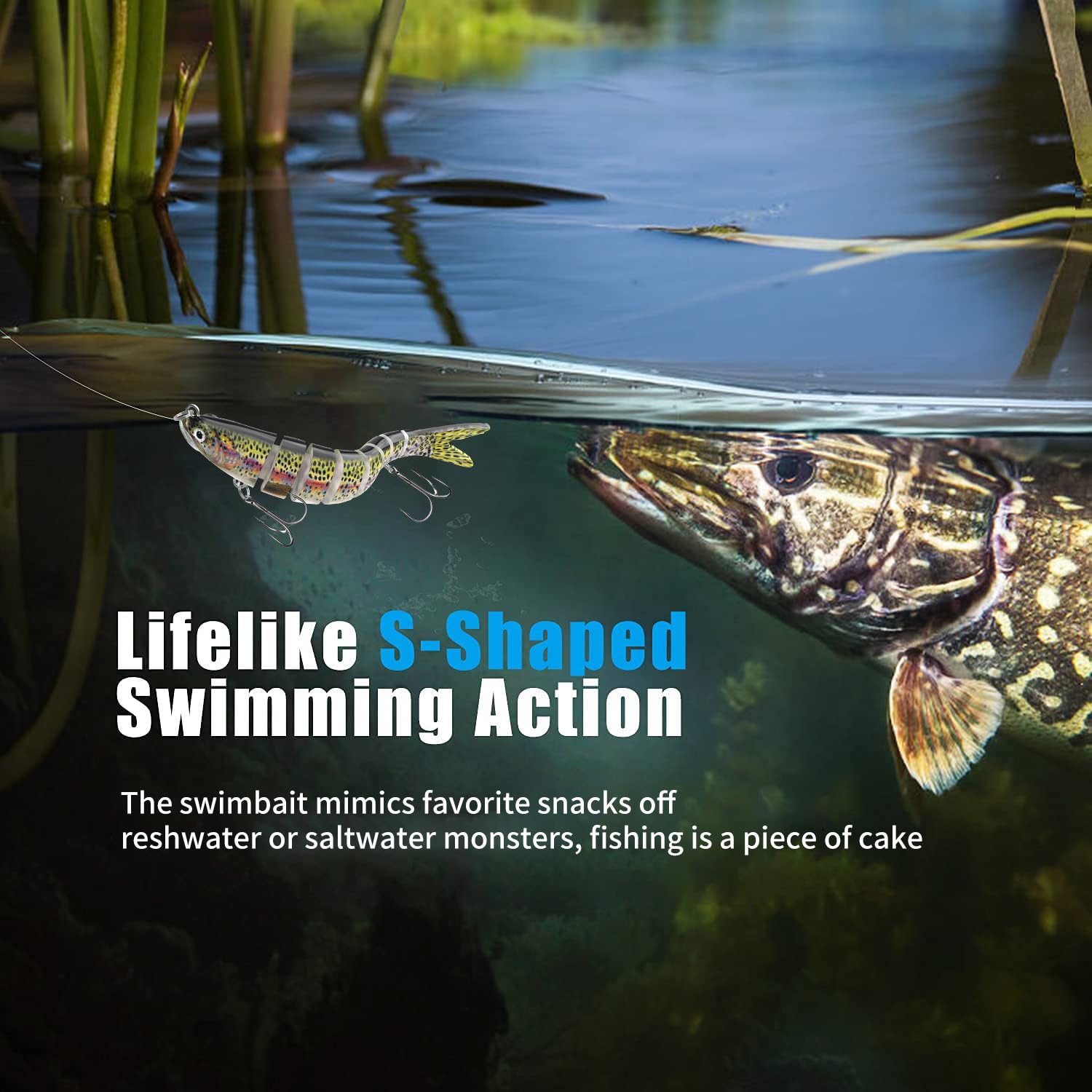 Strong applicability: catches bass, walleye, pike, trout and more