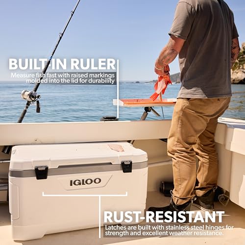 Igloo Latitude Marine interior shows ample space for snacks and drinks.
