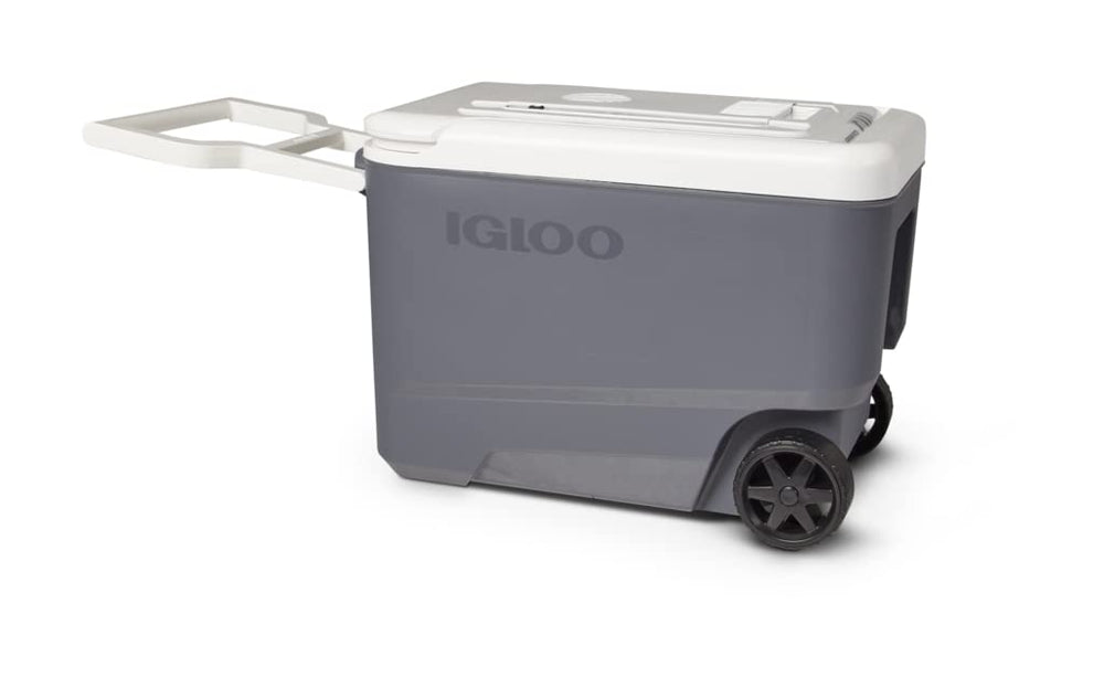 Igloo Versatemp 35 Qt cooler compatible with a 12V vehicle outlet.