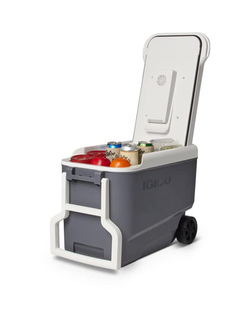 Igloo 35 Qt Versatemp iceless cooler is ideal for picnics and trips.
