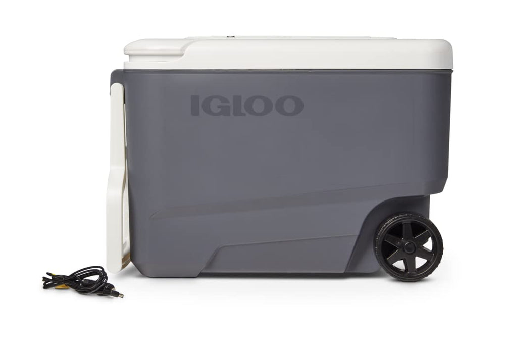 Igloo Versatemp 35 Qt cooler with wheels for easy transport.