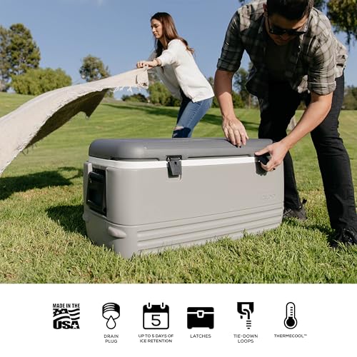 Igloo Gray Polar 120 Qt Cooler interior reveals stain- and odor-resistant liner.
